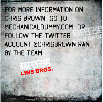 Chris Brown想安静一段时间 把Instagram变更为私人帐号 (照片)