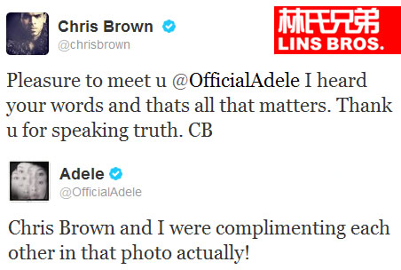 Chris Brown感谢Adele澄清格莱美现场“指责”自己照片 (图片)
