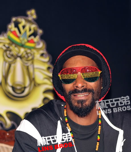 美国国税局向Snoop Dogg 讨$546000美元未缴税 (文件)