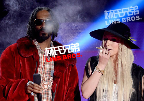 公开抽大麻?! Snoop Dogg和Ke$ha在2013 MTV电影奖台上抽烟 (照片)