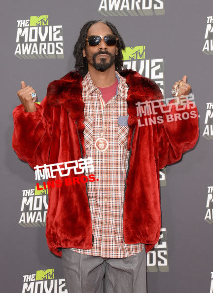 Snoop Dogg, Jamie Foxx等出席2013 MTV MOVIE AWARDS红地毯 (12张照片)