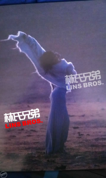 更多照片Rihanna的Diamonds世界巡回演唱会纪念册内页 (16张照片)