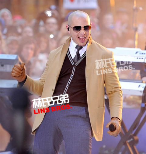 Pitbull 在Chris Brown歌曲Fine China上Remix (音乐)