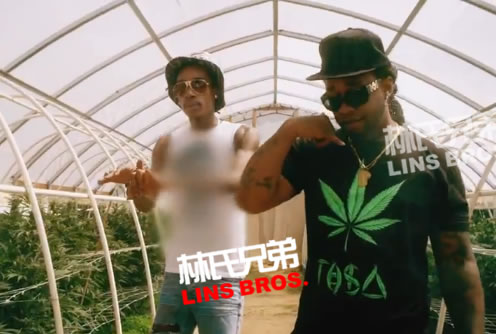 Wiz Khalifa 客串 Ty Dolla $ign 歌曲 Irie 官方MV..大麻是MV主题 (视频)