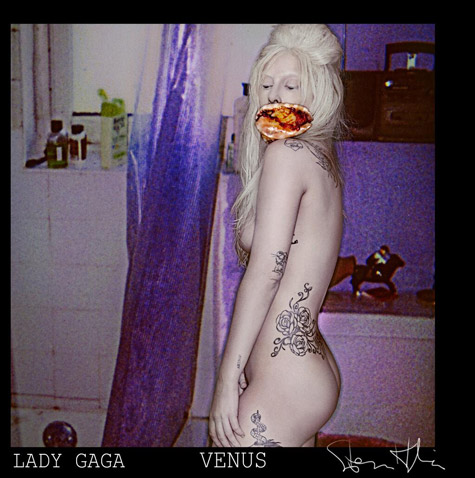 LINS BROS. Hip Pop: 流行巨星Lady Gaga再次全裸! 发布新专辑歌曲Venus3张封面 (3张图片)