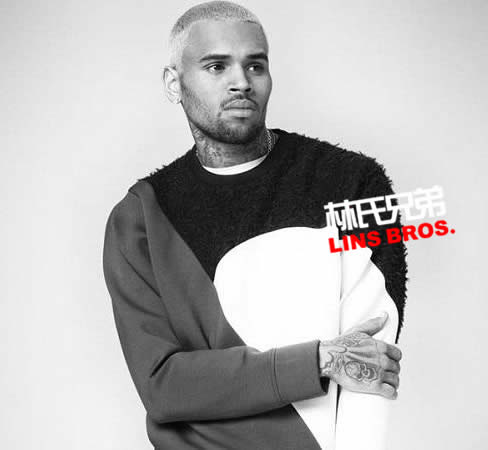 Chris Brown 准备发布 ‘X Files’ Mixtape..5首歌曲 (图片)