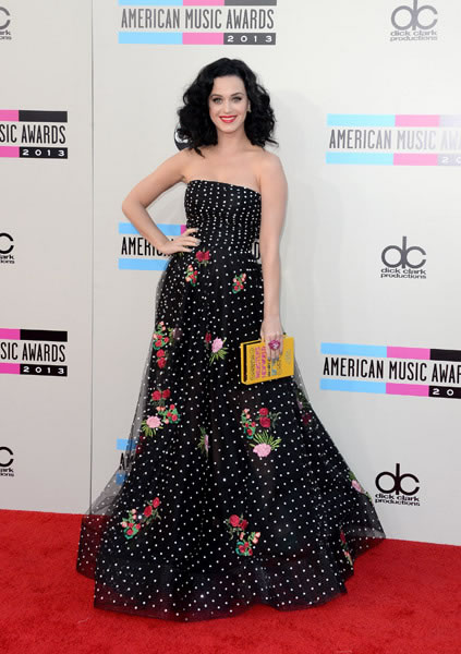 明星们出席2013 全美音乐奖 American Music Awards红地毯 (15张照片)