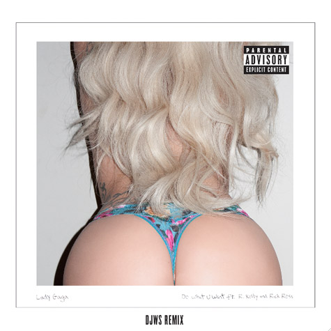Lady Gaga与R. Kelly & Rick Ross合作歌曲Do What U Want (Remix) (音乐)