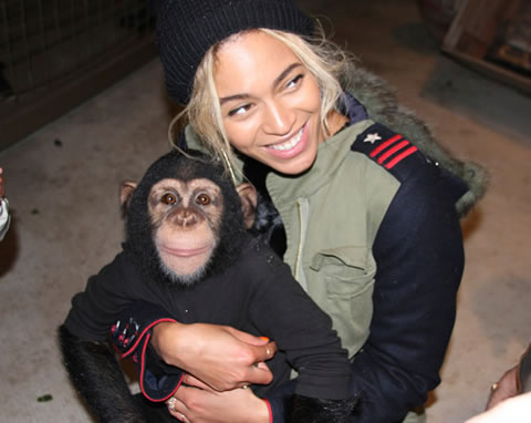 恐怖! 女王Beyonce轻松地把巨大蟒蛇绕在脖子上..给白虎喂奶..和猴子亲嘴 (6张照片)