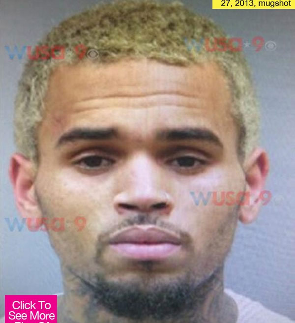 Chris Brown去年在“华盛顿动手事件”被捕之后在监狱拍摄的大头照曝光 (照片)
