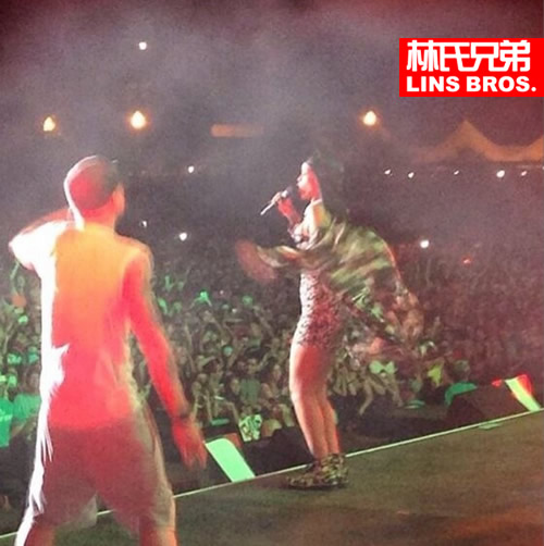 Eminem带出Rihanna在Lollapalooza音乐节同台表演The Monster和Love The Way You Lie (视频+照片)