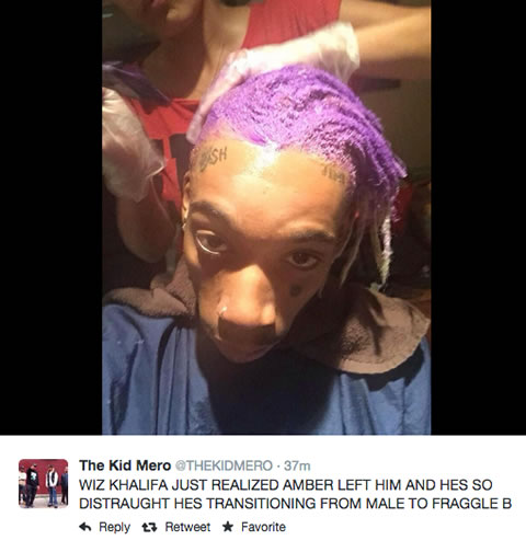 人们如何反应Wiz Khalifa的紫色新发型? 为何大多数人总是喜欢消极挖苦别人? (10张截图)