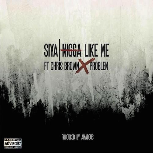 Chris Brown & Problem客串Siya新歌Nigga Like Me (音乐)