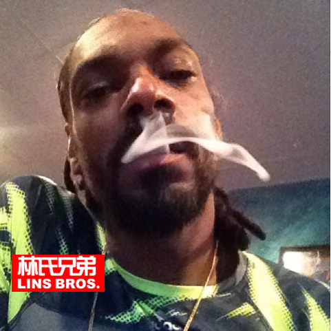 老了..Snoop Dogg新专辑BUSH首周预测销量只有这么一点点..失望