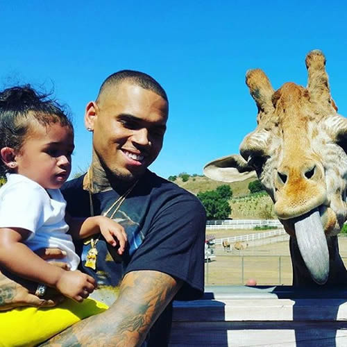 Chris Brown带可爱女儿游玩动物园..不料旁边这只抢了镜头做“鬼脸” (照片)