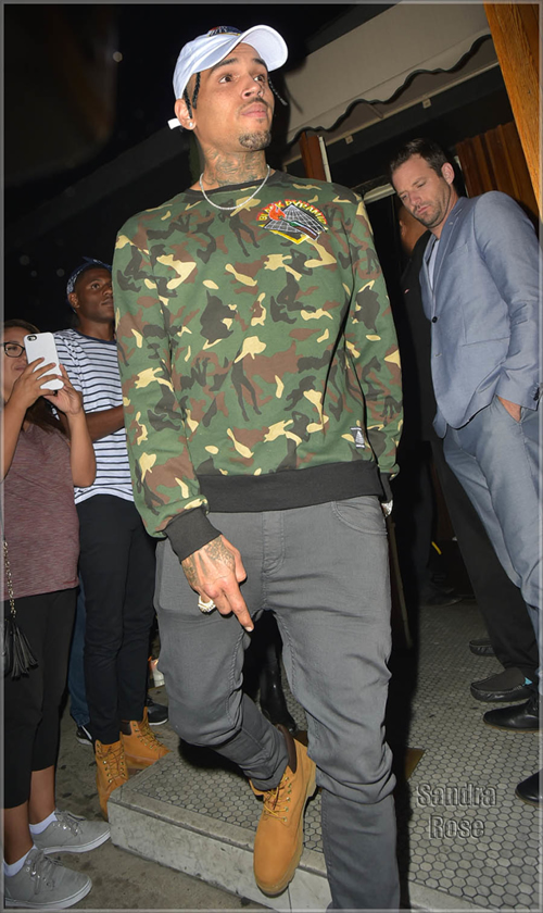 有趣了..Chris Brown和前女友Karrueche一起出现在Kylie Jenner的Party..结果并不好 (7张照片)