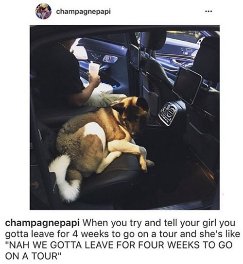 可怜的Drake在女友Rihanna不在身边的时候只能由单身狗陪他 (照片)