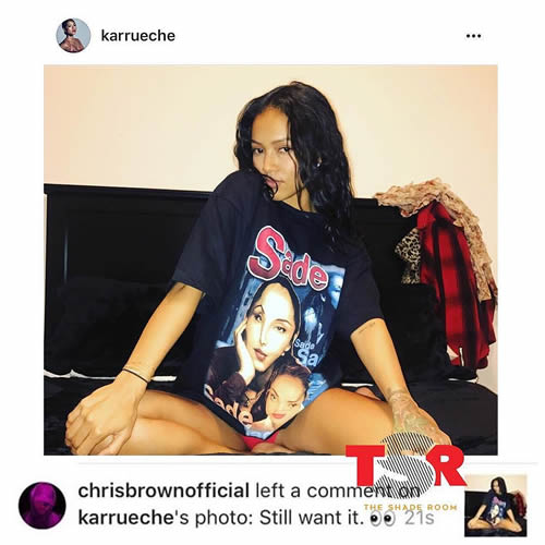 Wow..Chris Brown仍然想“要”前女友Karrueche..她这是有多大魅力? (照片)