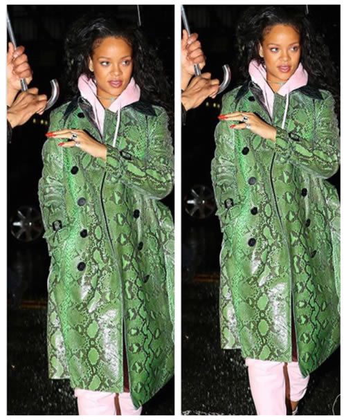 几个意思? Rihanna和前男友Chris Brown去同一个夜店..然后Breezy牵手漂亮好友 (照片)