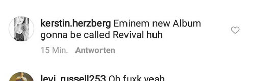 Stan开始激动了..因为Eminem老基友经纪人Paul耍花招放出照片可能暗示Slim Shady的新专辑名称