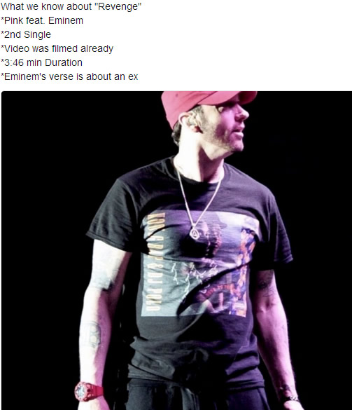 Eminem客串Pink新专辑第二单曲Revenge将再次开启Slim Shady模式..透露的消息显示Shady的说唱部分是关于Ex的